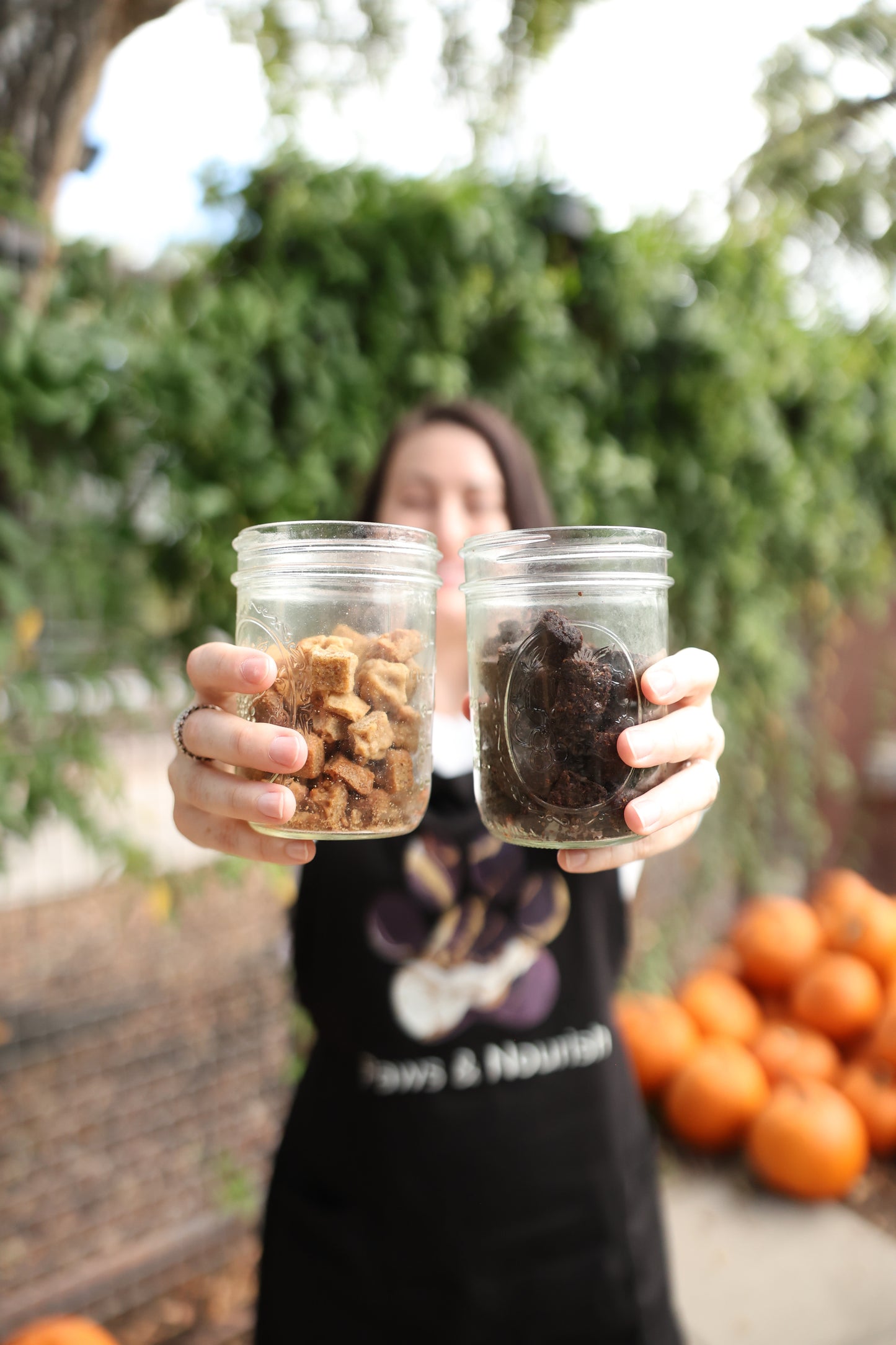 Banana Quinoa and Chia Berry Sample Pack