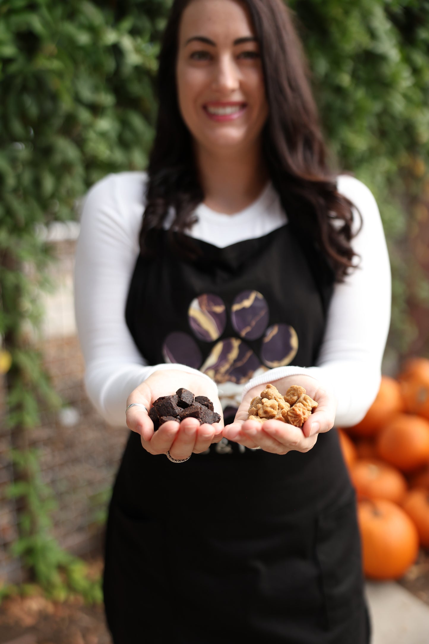 Banana Quinoa and Chia Berry Sample Pack
